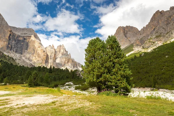 Val de Vaiolet, Dolomites, Italy — Zdjęcie stockowe