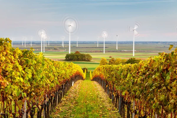 Zielonej energii w jesieni, Austria — Zdjęcie stockowe