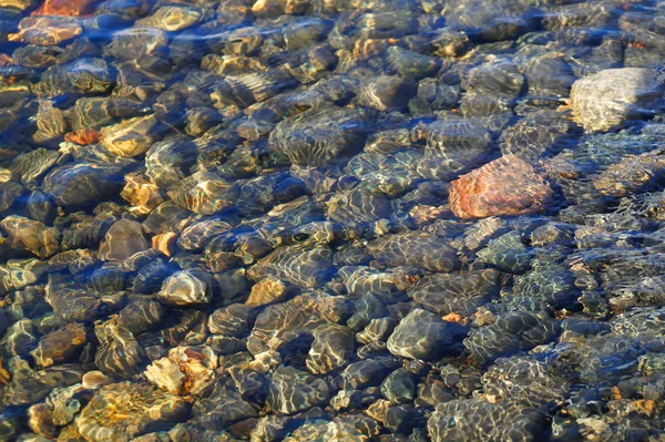 Dnie Jeziora Kamienie Wyraźnie Widoczne Czystej Wodzie Dzień Jest Słoneczny — Zdjęcie stockowe