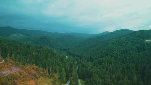 Berglandschaft: die Straße zwischen Hügeln und Bergen, die mit immer grünem Kiefernwald bedeckt sind. — Stockvideo