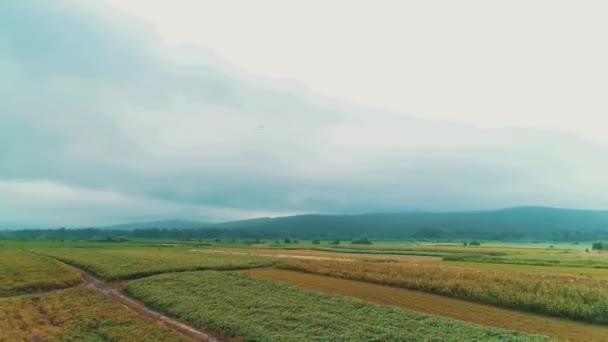 Luchtfoto van landbouwplantage en berglandschap op skyline vanaf drone futhering op fast-track. — Stockvideo