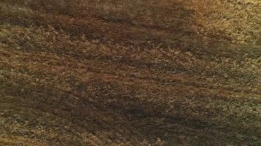 Tohum ekmek için sürülen bir tarlaya, uçan bir dron ve kahverengi toprak deseni açılır..