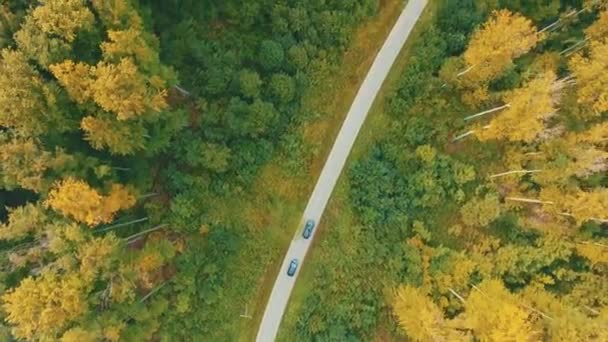 Luchtfoto na video van auto 's die over slingerende weg door herfstbos rijden met groene en gele boomtoppen. — Stockvideo