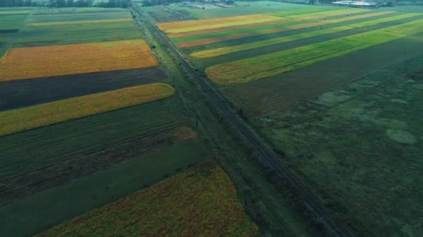 Volando por encima de vastos campos con plantas agrícolas creciendo y ferrocarril construido en medio de los campos . — Vídeo de stock