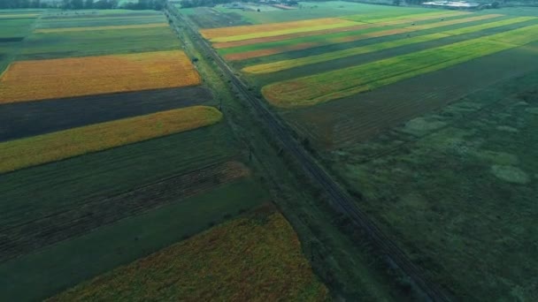 広大な農地の上を飛行し、畑の真ん中に農業プラントや鉄道が建設されています。. — ストック動画