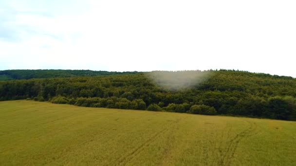 Aerial drone widok latający nad lasem pokryte wzgórza w słoneczny letni dzień. — Wideo stockowe