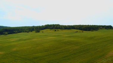 Parlak yeşil otlakların havadan görünüşü manzara ve ormanlar.