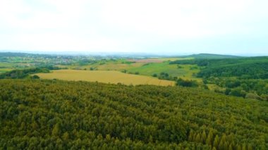 Sabahları çam ormanlarının üzerinde uçmanın muhteşem manzarası.
