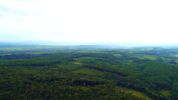 晴れた夏の日に山の村で壮大な景色を開く覆われた丘の中腹に覆われた森の後ろからドローンの飛行. — ストック動画