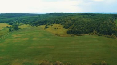 Parlak yeşil otlakların havadan görünüşü manzara ve ormanlar.