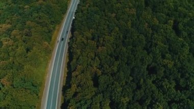 Yeşil sık orman kepçeleri arasında gri yol boyunca giden arabalar.