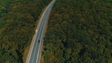 Eski orman yolunda uçan bir dron hareket halindeki arabalarla, sık ağaçlardan oluşan yeşil ağaçlarla her iki tarafta da büyüyor..