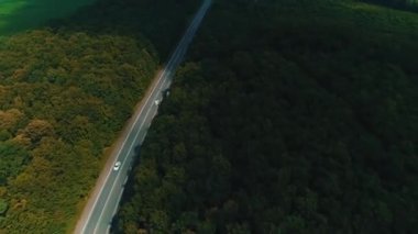 Eski orman yolunda uçan bir dron hareket halindeki arabalarla, sık ağaçlardan oluşan yeşil ağaçlarla her iki tarafta da büyüyor..