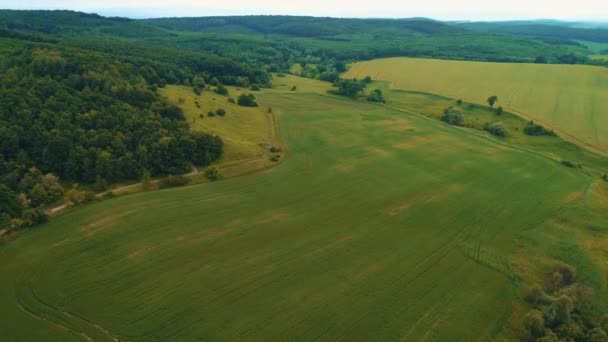 Aerial drone view flying over a forest covered hillside on sunny summer day. — Stock Video