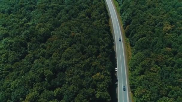 Autos bewegen sich auf grauer Straße inmitten grüner dichter Waldlandschaft. — Stockvideo