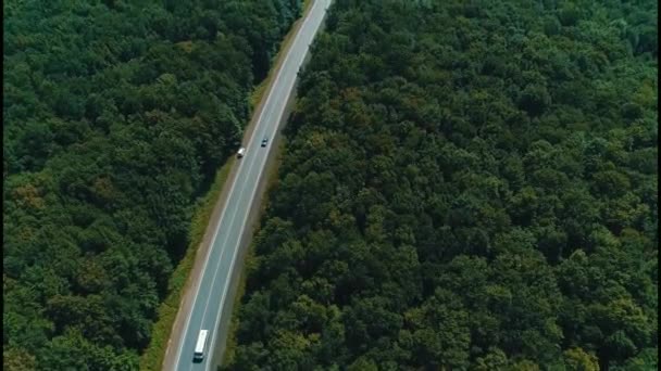Luftaufnahme von Autos, die auf kurvenreicher Straße durch Wald mit grünen Baumwipfeln fahren. — Stockvideo