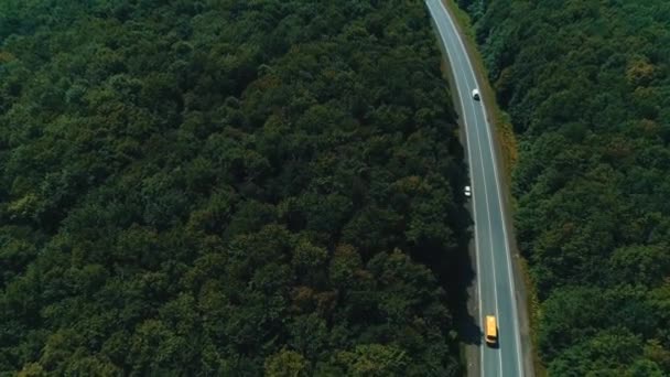 Aerea seguente video di auto che guidano lungo la strada tortuosa attraverso la foresta con cime di alberi verdi . — Video Stock