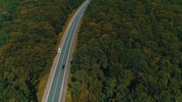 Drone survolant une vieille route forestière avec des voitures en mouvement, des arbres verts de bois denses poussant des deux côtés . — Video