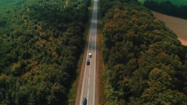 Eski orman yolunda uçan bir dron hareket halindeki arabalarla, sık ağaçlardan oluşan yeşil ağaçlarla her iki tarafta da büyüyor..
