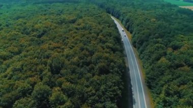 Kamera takip etmek için hareket ediyor ve vahşi ormanlar arasındaki yolda giderken arabayı takip ediyor..