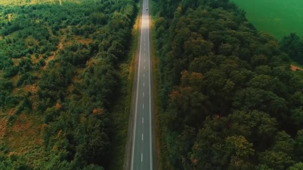 Концепція вантажоперевезень. Красива місцевість з дорогою і красивий густий ліс з обох сторін . — стокове відео