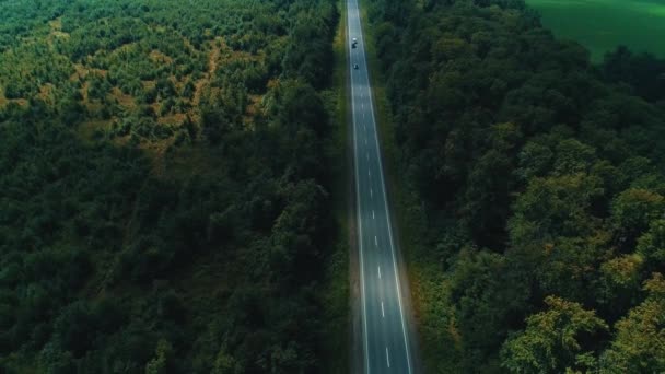 貨物輸送の概念。両側に道路と美しい鬱蒼とした森と美しい地形. — ストック動画