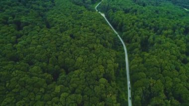 Güneşli bahar gününde, sık yeşilliklerin arasından geçen yol.