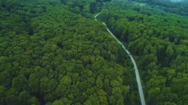 Tropikal yeşil yemyeşil, yemyeşil yağmur ormanları arasında yol olan orman arazisi üzerinde nefes kesici bir hava manzarası..