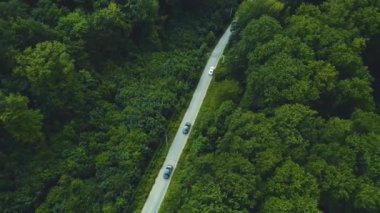 Bahar mevsiminde taze yeşil ormanlık alanda kuş bakışı yol manzarası.