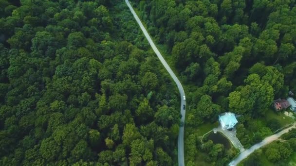 Lélegzetelállító légi kilátás a trópusi zöld buja esőerdő erdős terep út közepén. — Stock videók
