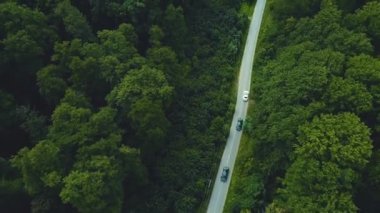 Güneşli bahar gününde, sık yeşilliklerin arasından geçen yol.