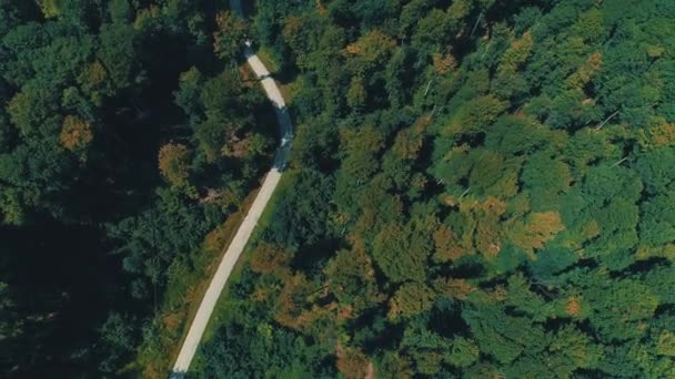 Voo de drone sobre bela floresta colorida de outono com câmera rotativa . — Vídeo de Stock
