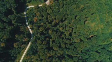 Yeşil çöl gibi görünen büyük yeşil sık ormanın insansız hava aracı görüntüsü.