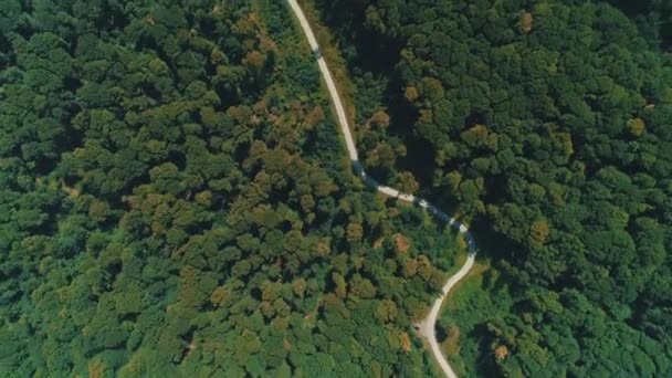 Vol de drone au-dessus de la belle forêt colorée d'automne avec caméra tournante . — Video