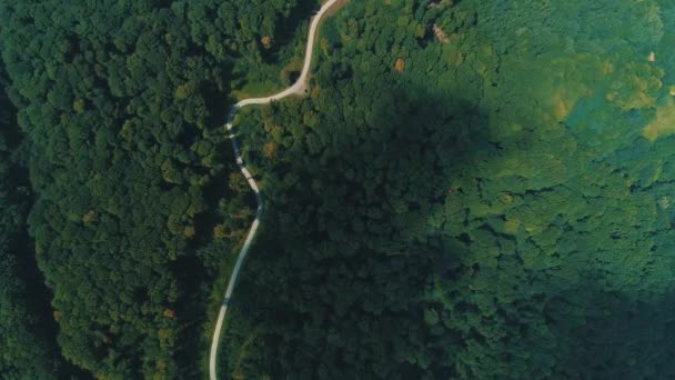 Flygdrönare syn på stora gröna tät skog, ser ut som grön öken med moln nyanser rör sig. — Stockvideo