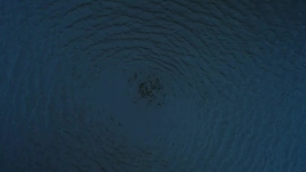 Water circle spinning and spreading motion surface in blue shade. — Stok video