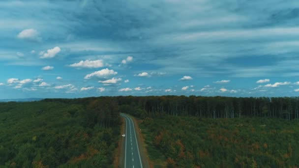Drone flying slowly backwards over woodland with areas of young trees grown after old were cut. — Stock video