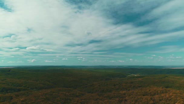 Vista aérea escénica sobre el follaje de otoño en el bosque de otoño en el sombrío día de otoño . — Vídeos de Stock