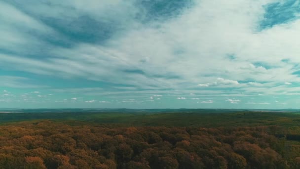 Vista aérea panorâmica sobre a folhagem de outono na floresta de outono no dia de outono sombrio . — Vídeo de Stock