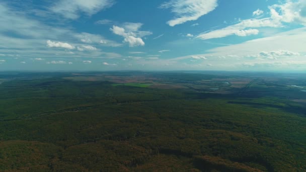 Scenic aerial view over fall foliage in autumn forest on gloomy autumn day. — Stok video