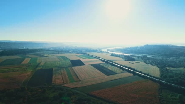 Eine leichte Brise schüttelt das Gras, unter einem wolkenverhangenen Himmel im Hintergrund des Waldes. — Stockvideo