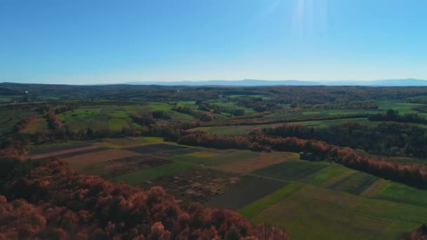 Blue sky and gold october landscape on nice autumn day upper view. — Stok video