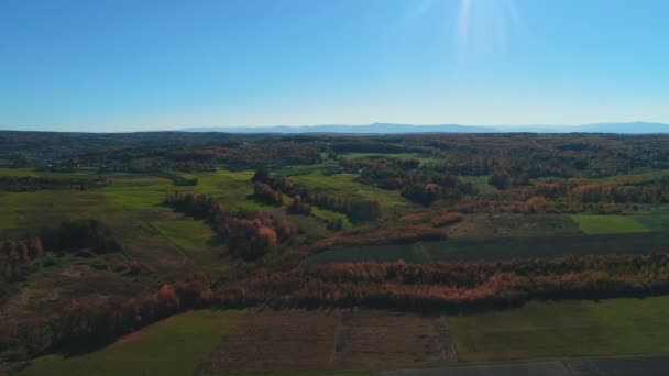 Blue sky and gold october landscape on nice autumn day upper view. — Stockvideo