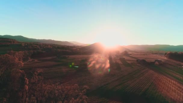 The drone flies through the branches of yellowed autumn tree and opens up a view of the mountains, vallay and blue skyscape. — Stockvideo