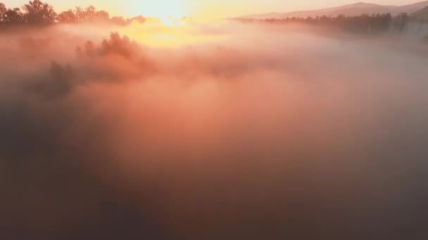 Vuelo escénico a través de la espesa niebla que yace en los campos y bosques hacia el sol . — Vídeos de Stock