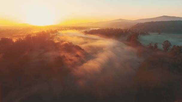 Moving forward to forest and mountain valley in thick fog with sun flare in summer day. — Stok video