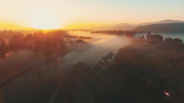 Volo panoramico attraverso la fitta nebbia che giace sui campi e le foreste verso il sole . — Video Stock