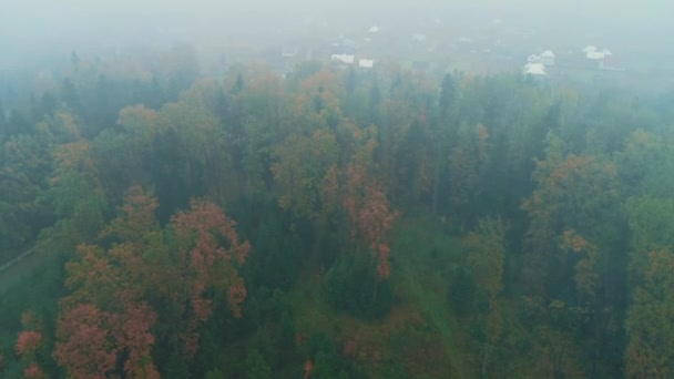 Aerial view of autumn forest covering slowly by white blanket of thick clouds. — Stock Video