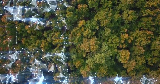 Présentation arrière-plan combinant des images de drone de forêt et grille abstraite de plexus à l'avant-garde . — Video