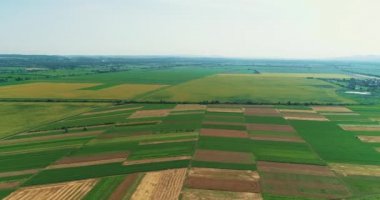 Mavi gökyüzünün altında yolu olan tarım arazisinin hava görüntüleri..